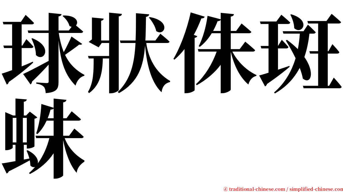 球狀侏斑蛛 serif font