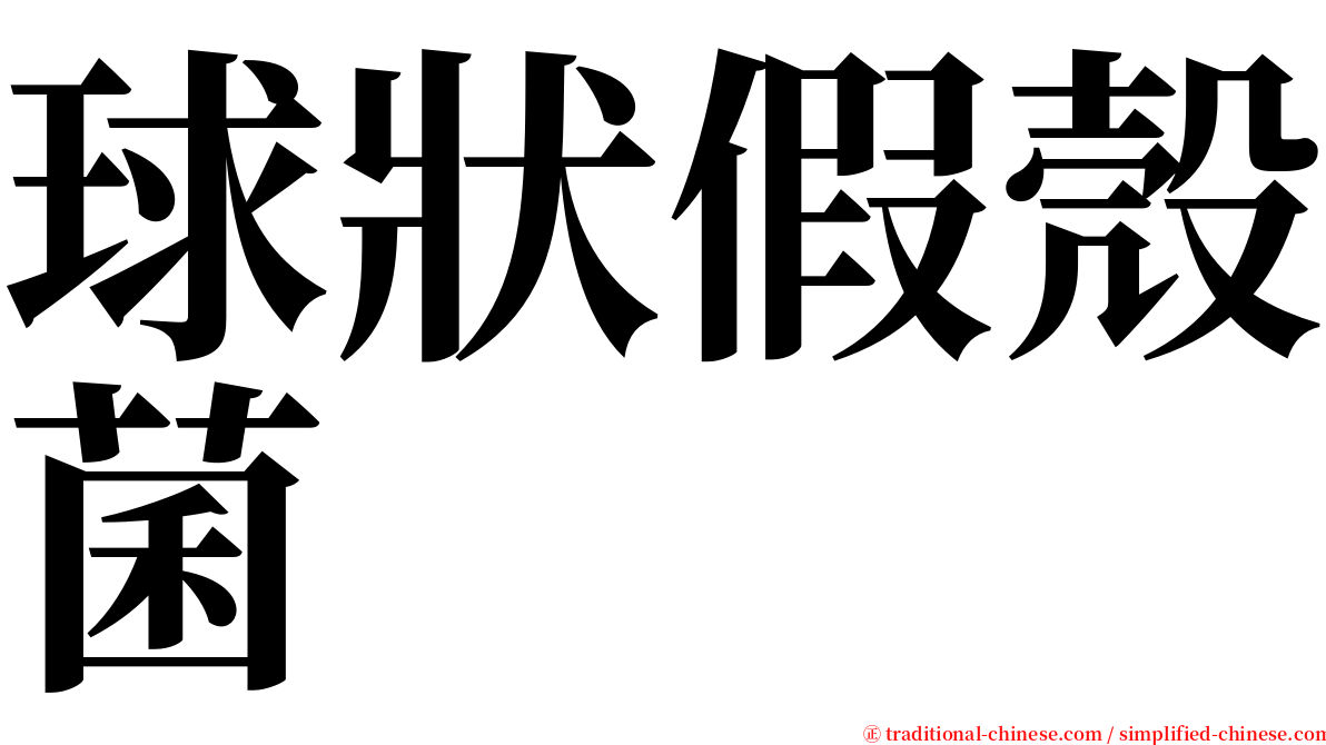 球狀假殼菌 serif font