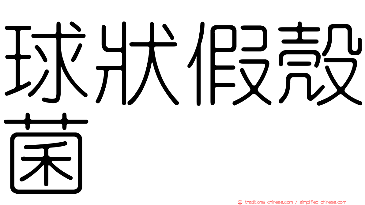 球狀假殼菌