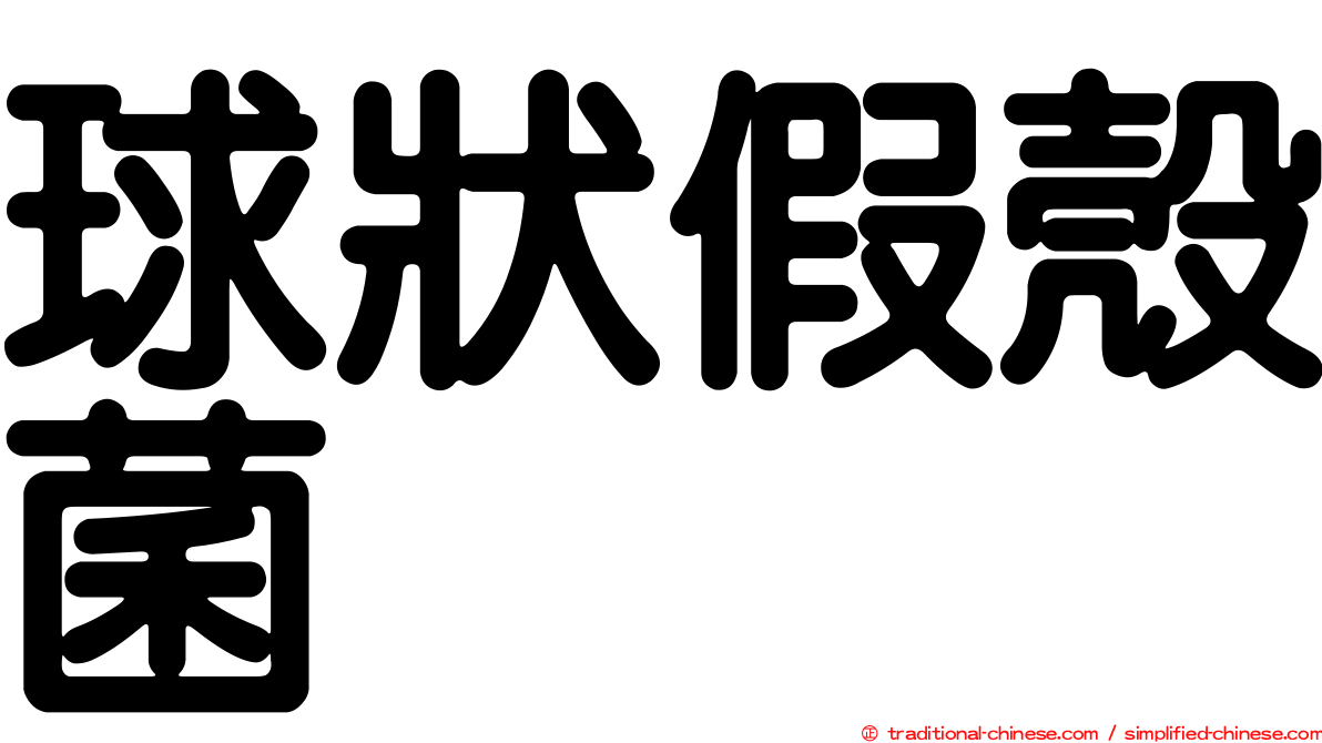 球狀假殼菌