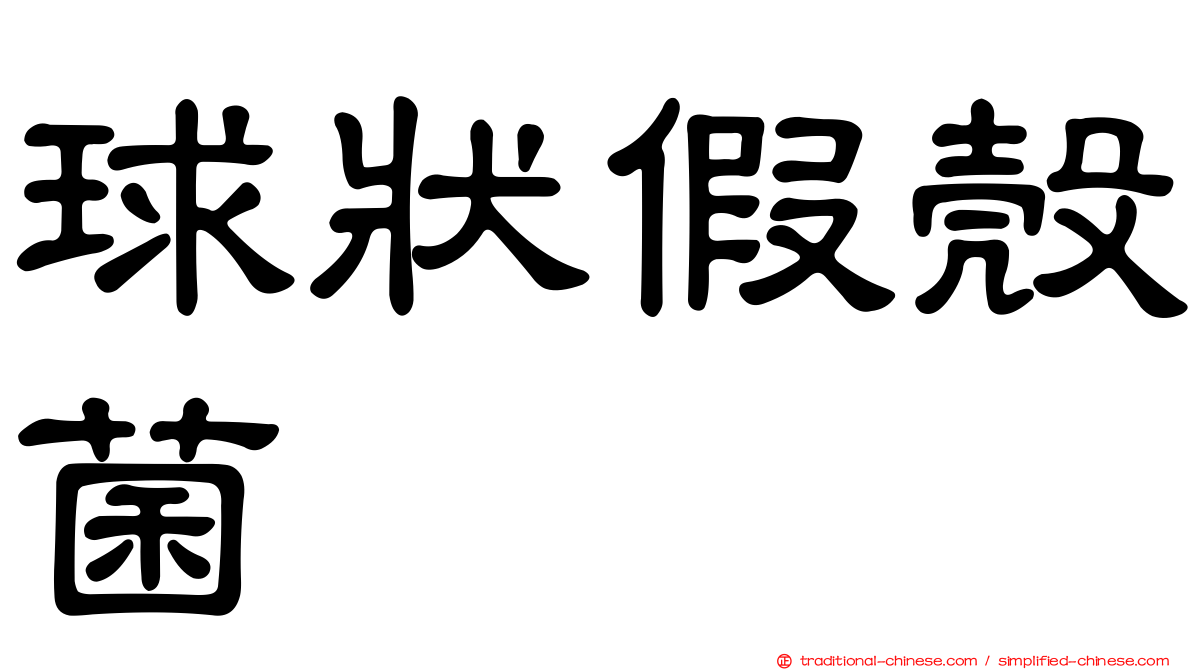 球狀假殼菌