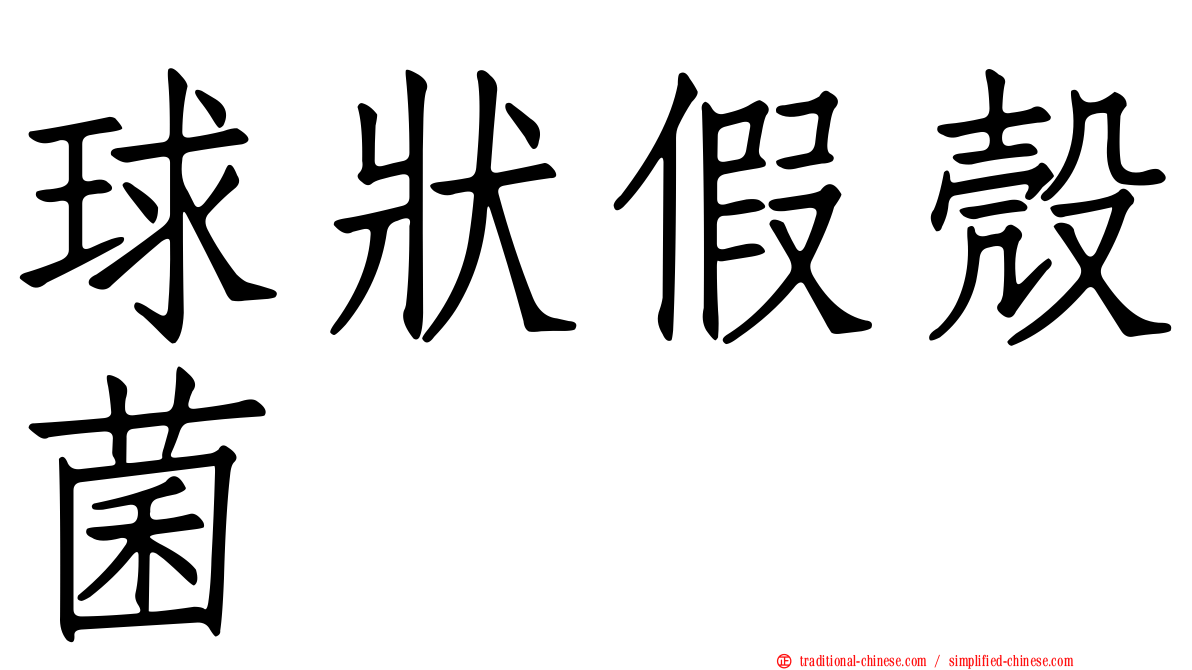 球狀假殼菌