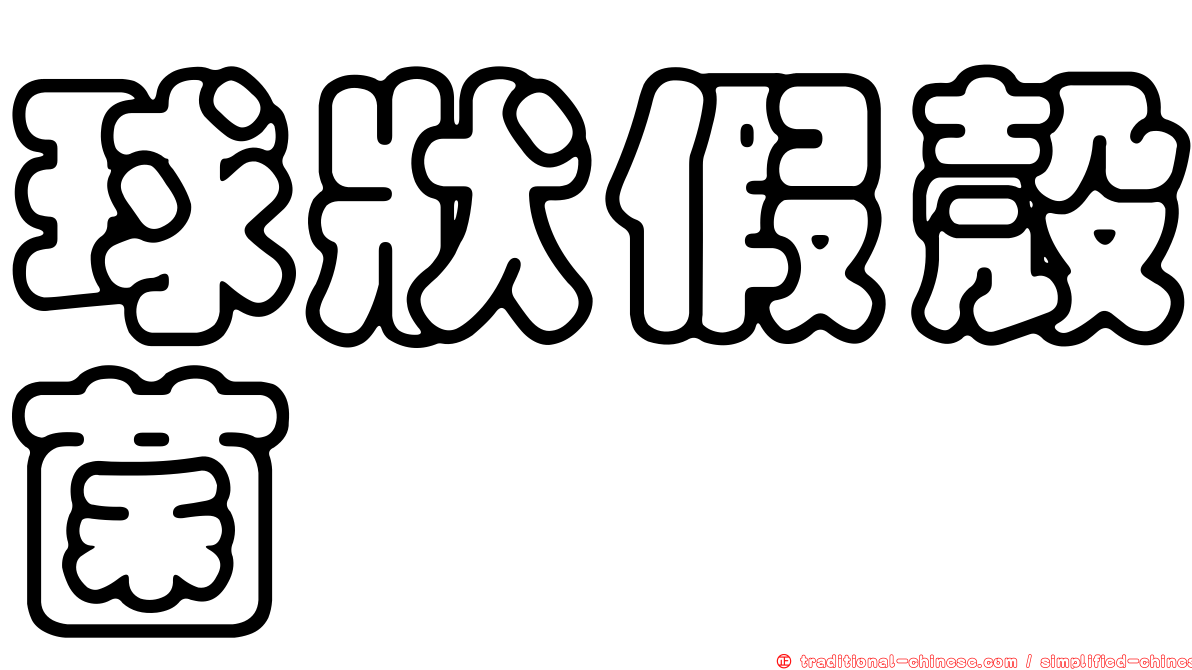 球狀假殼菌