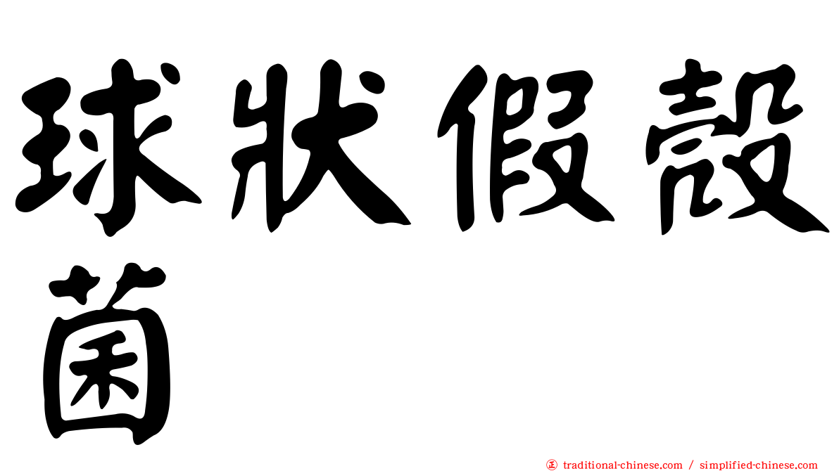 球狀假殼菌