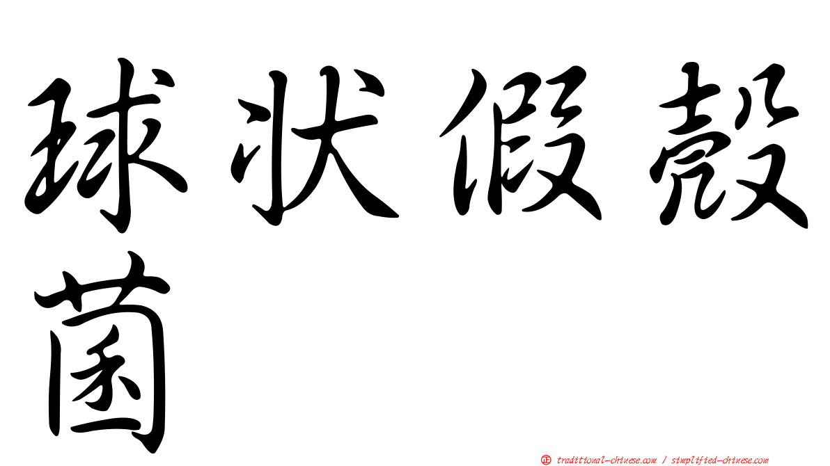 球狀假殼菌