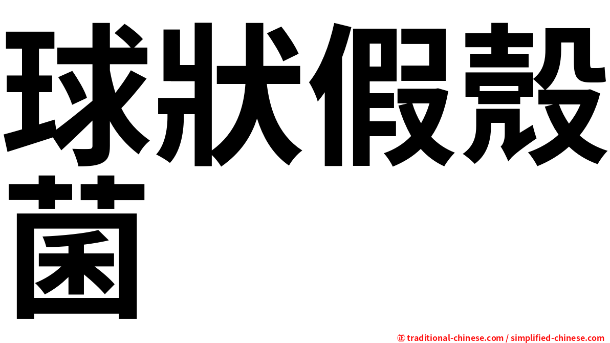 球狀假殼菌