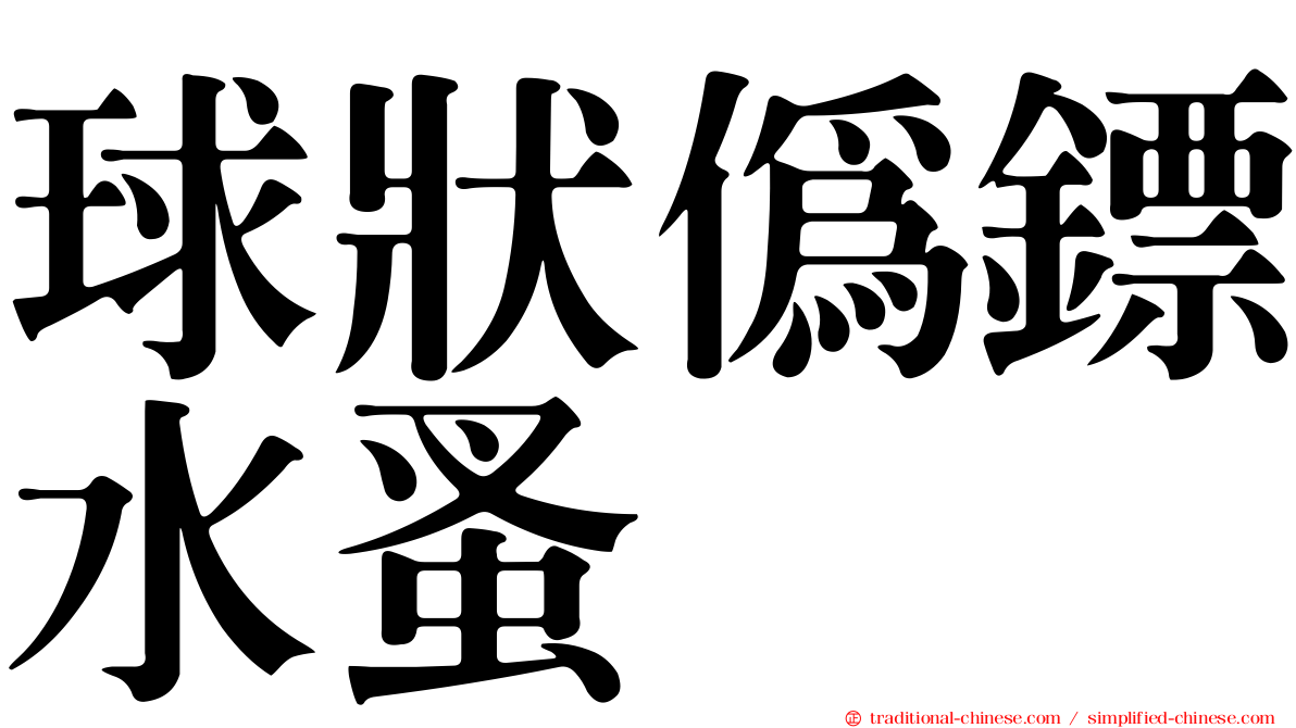 球狀偽鏢水蚤