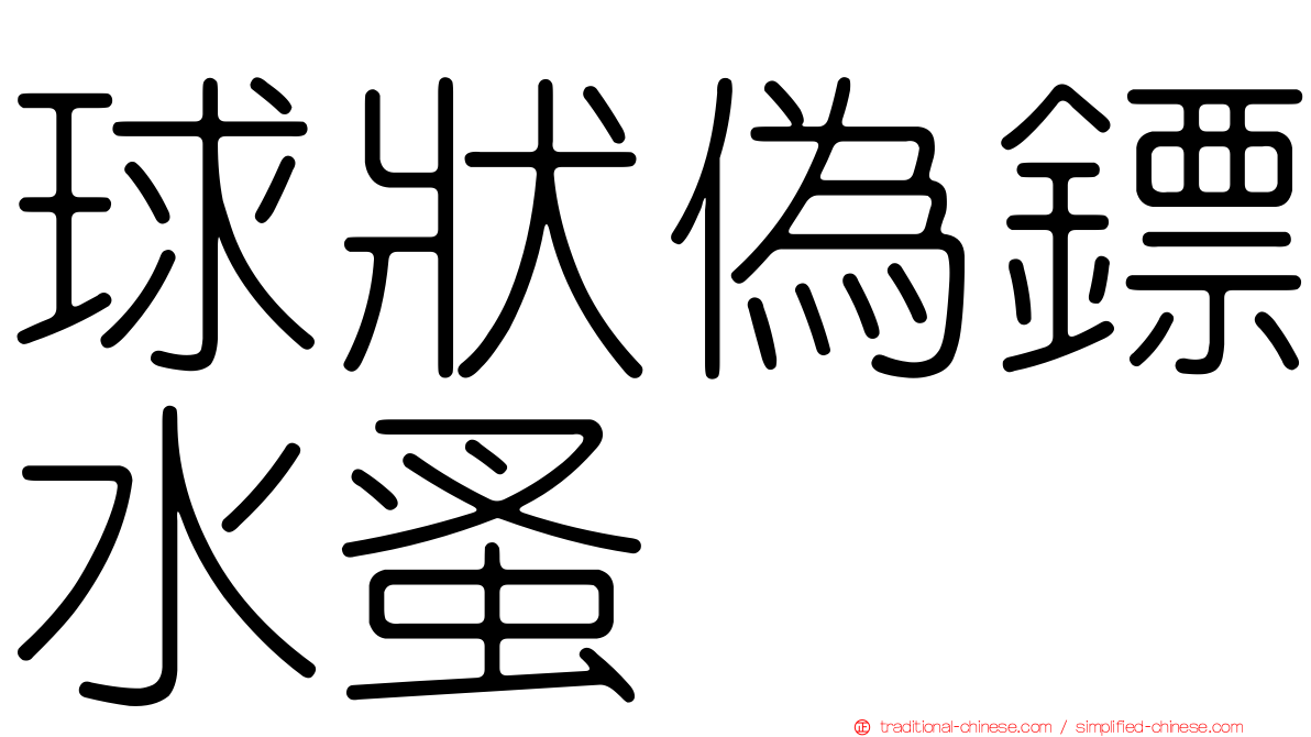 球狀偽鏢水蚤