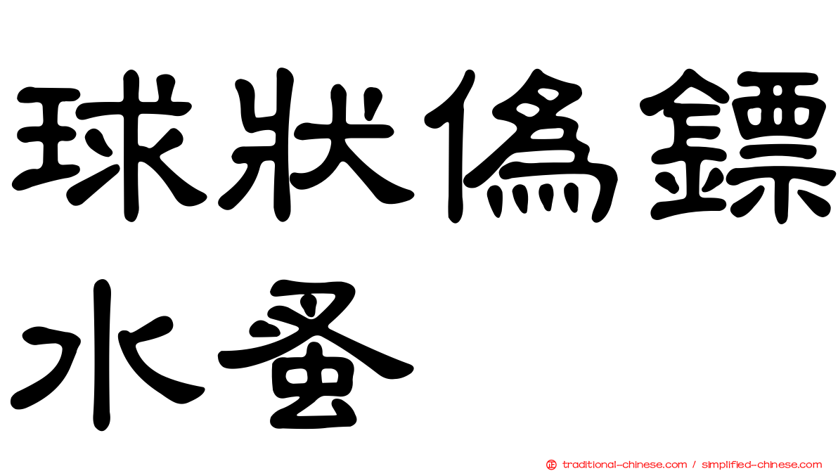 球狀偽鏢水蚤