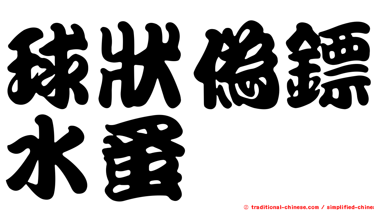 球狀偽鏢水蚤