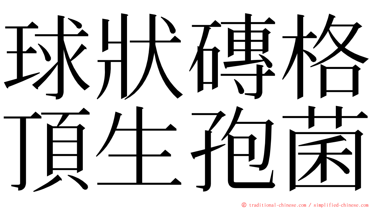球狀磚格頂生孢菌 ming font