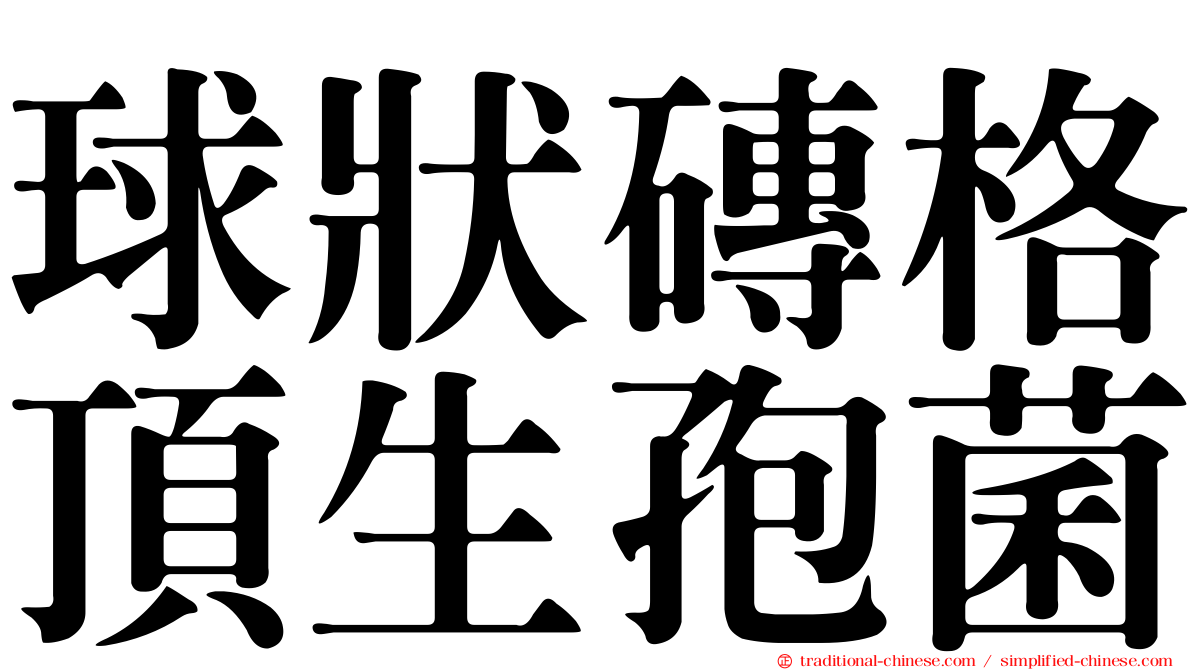 球狀磚格頂生孢菌