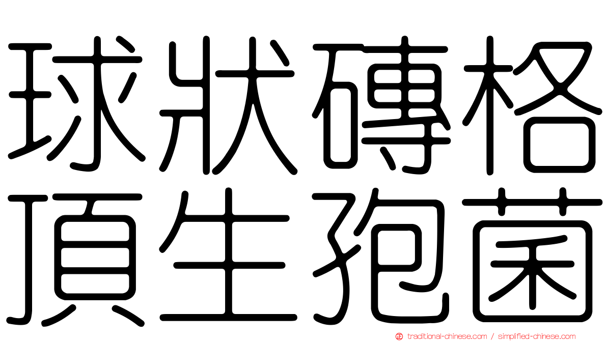球狀磚格頂生孢菌