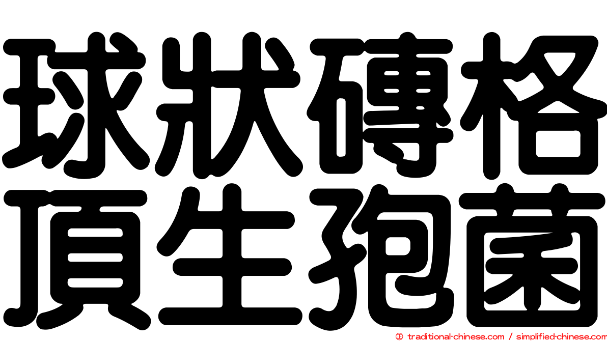球狀磚格頂生孢菌