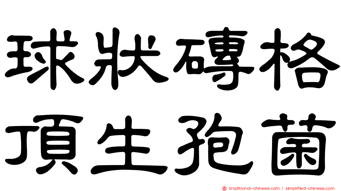 球狀磚格頂生孢菌