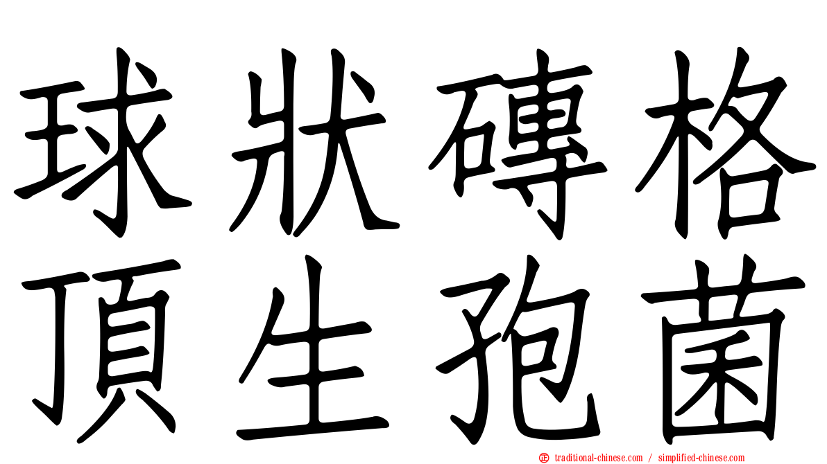 球狀磚格頂生孢菌
