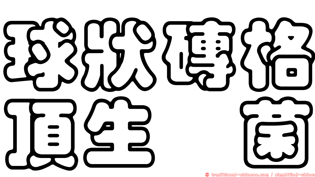 球狀磚格頂生孢菌