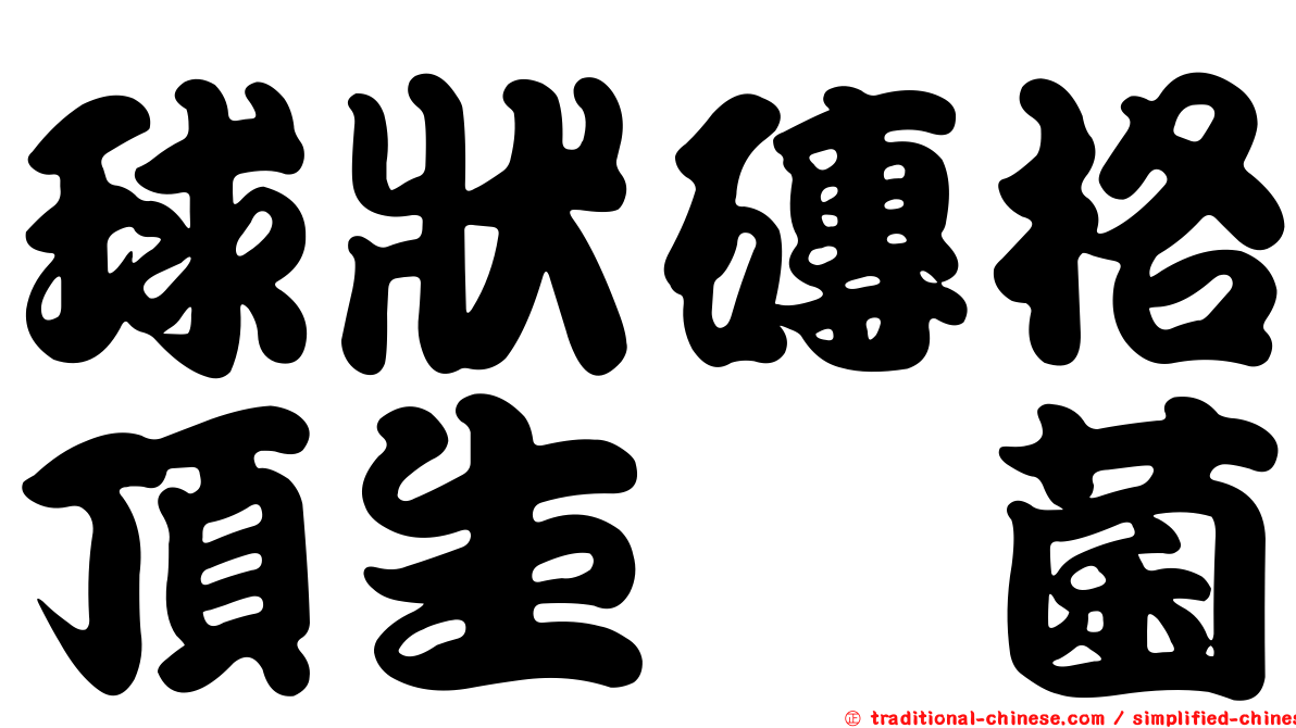球狀磚格頂生孢菌
