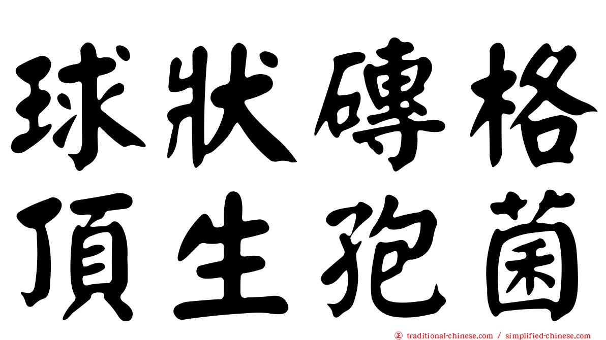 球狀磚格頂生孢菌