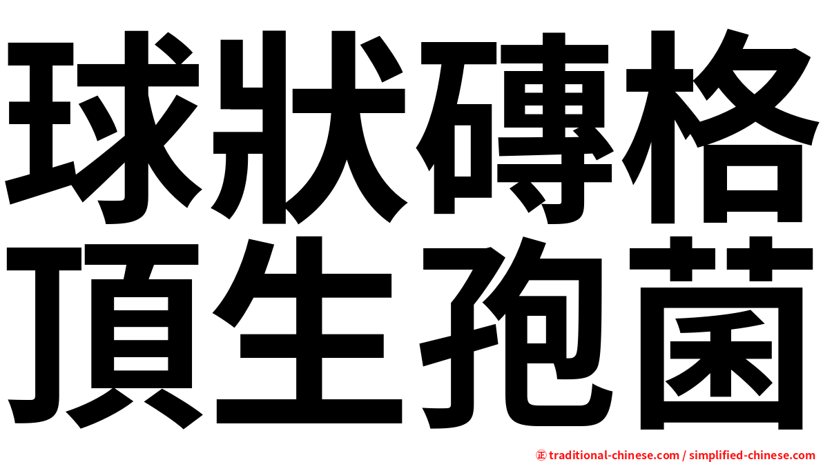 球狀磚格頂生孢菌
