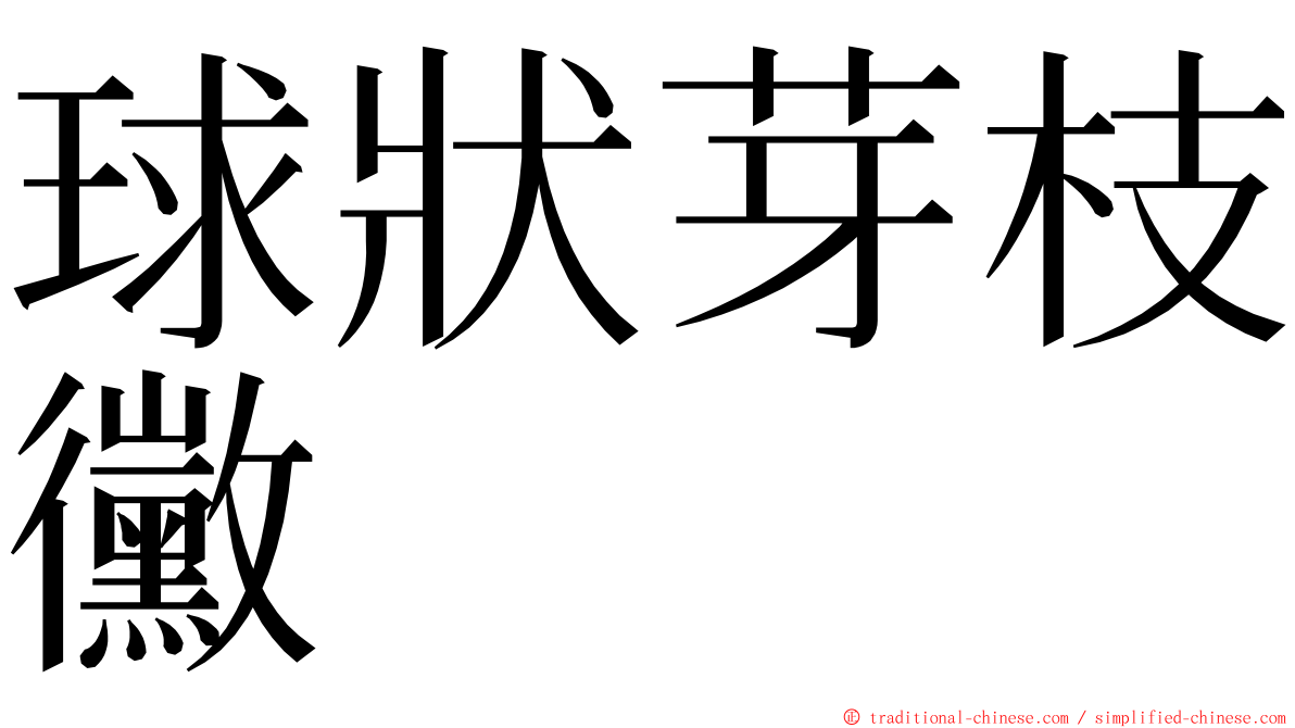 球狀芽枝黴 ming font