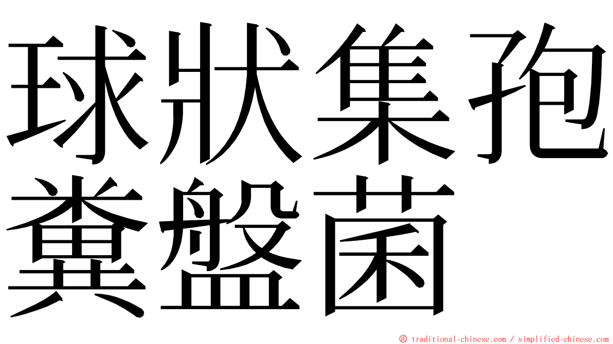 球狀集孢糞盤菌 ming font