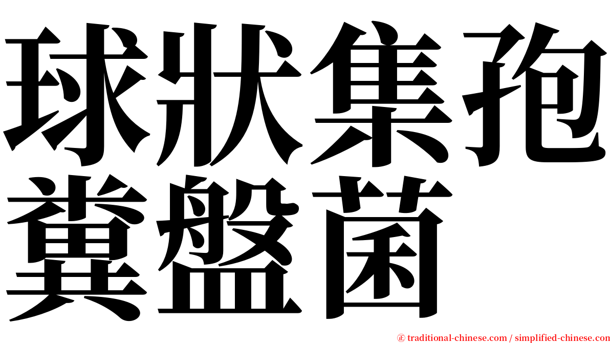 球狀集孢糞盤菌 serif font