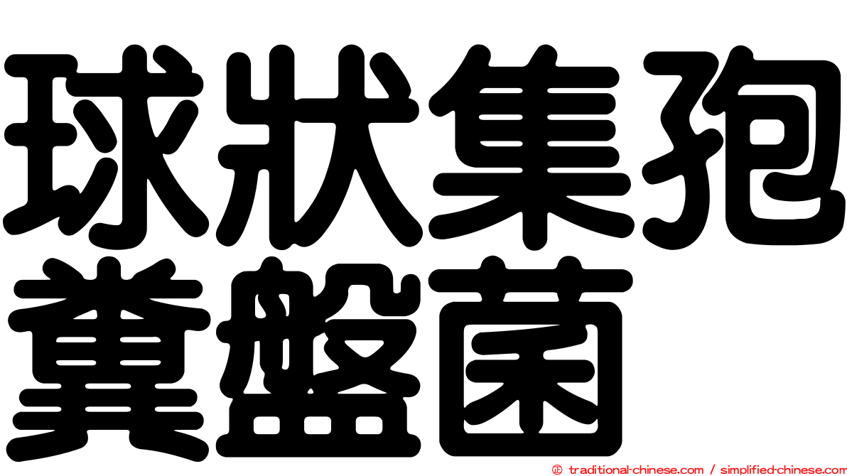 球狀集孢糞盤菌