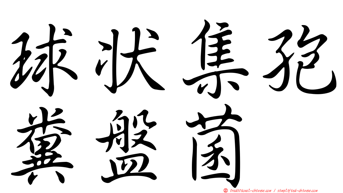 球狀集孢糞盤菌