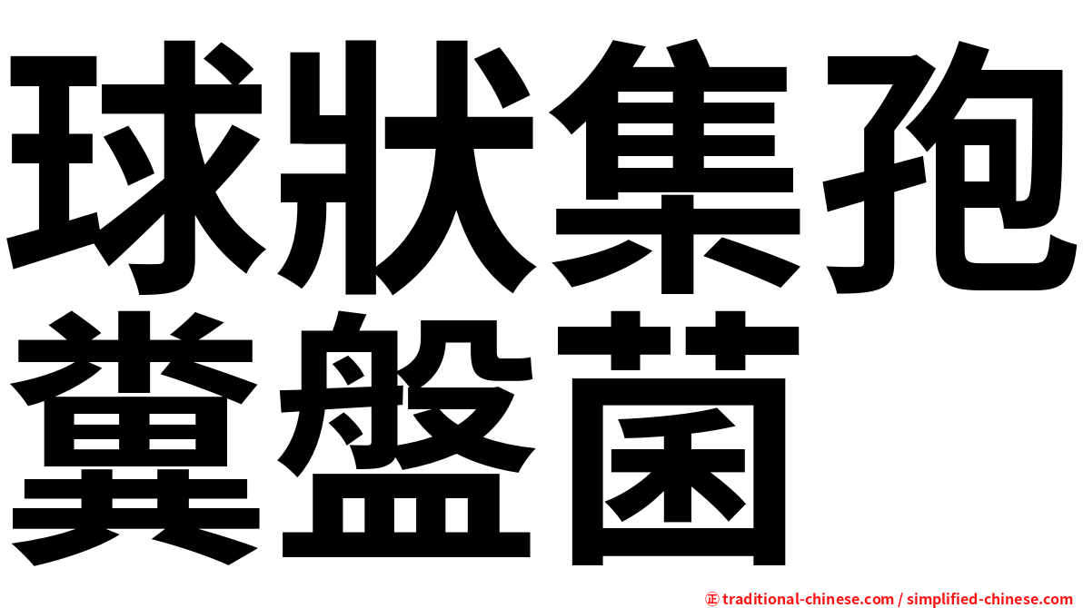 球狀集孢糞盤菌