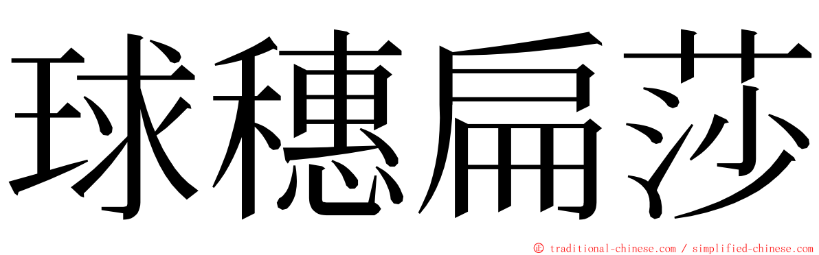 球穗扁莎 ming font