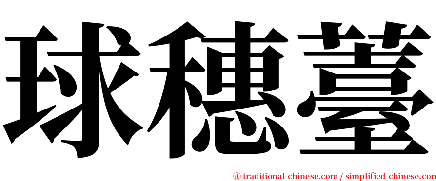 球穗薹 serif font