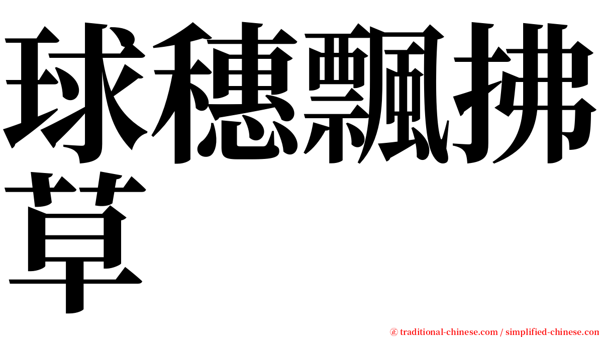 球穗飄拂草 serif font