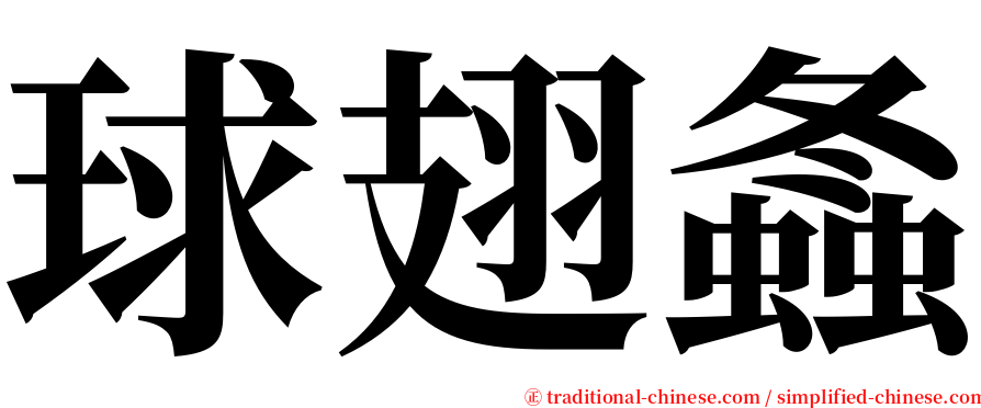 球翅螽 serif font