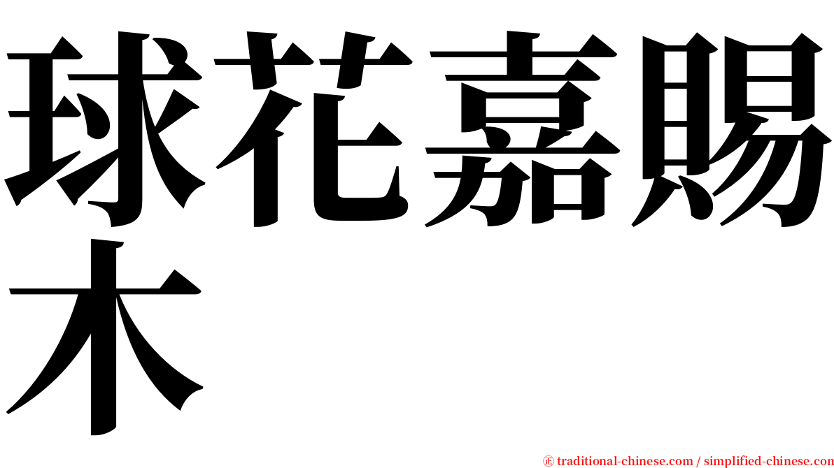 球花嘉賜木 serif font