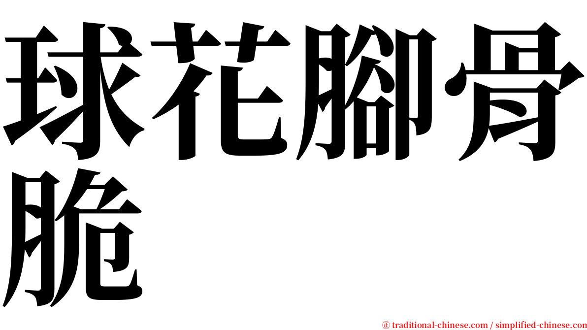 球花腳骨脆 serif font