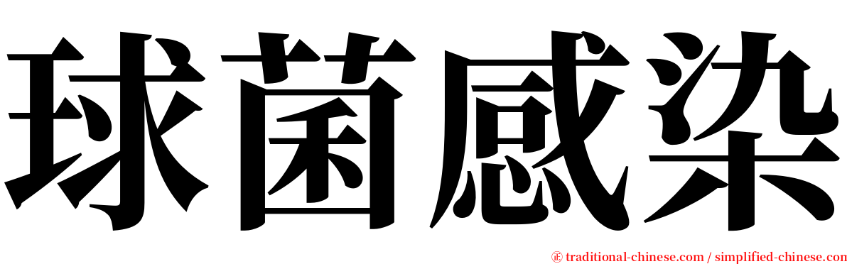 球菌感染 serif font