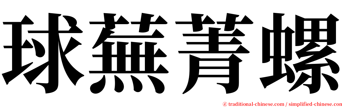 球蕪菁螺 serif font