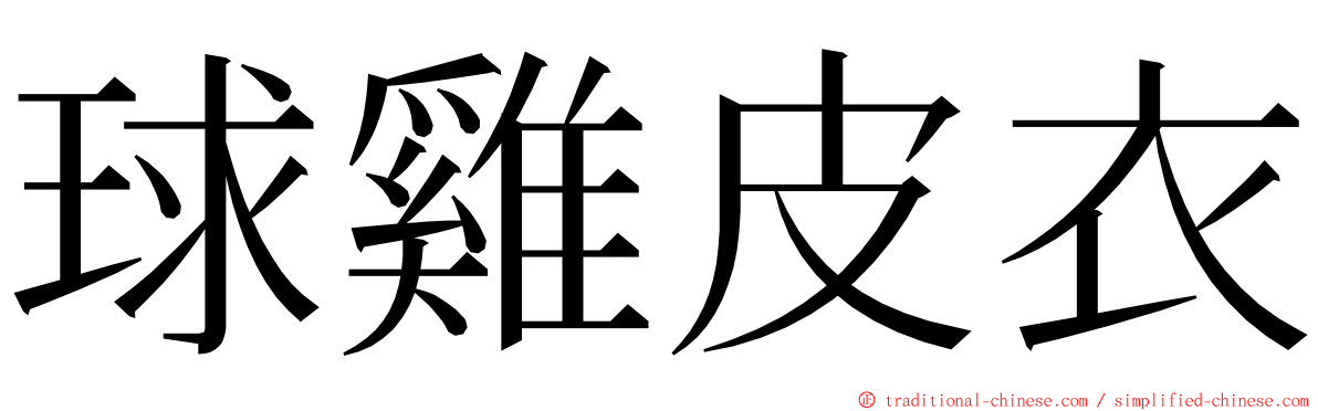 球雞皮衣 ming font