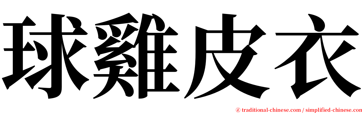 球雞皮衣 serif font