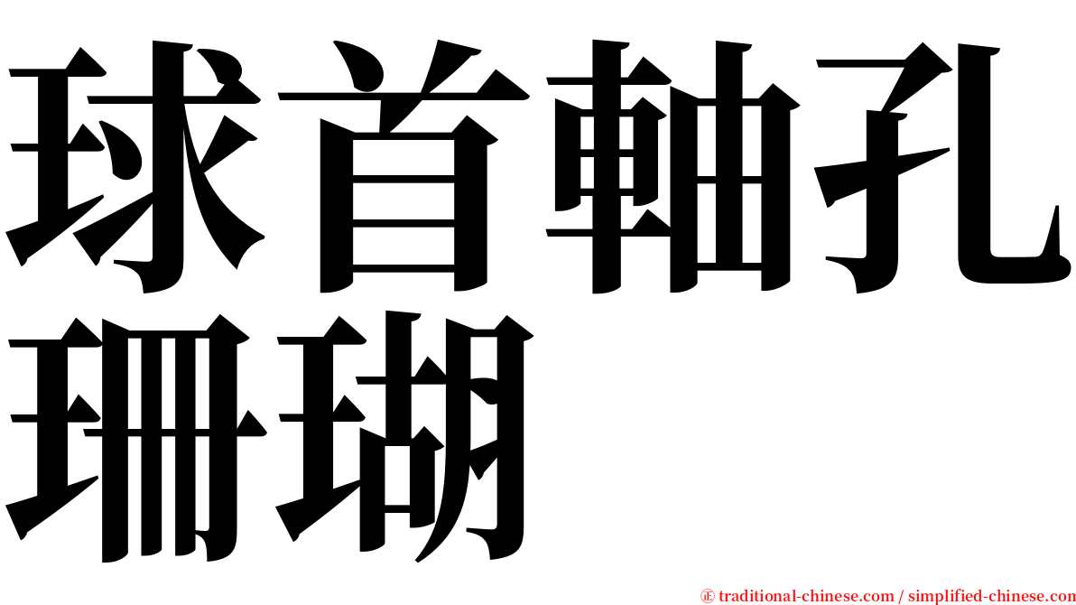 球首軸孔珊瑚 serif font