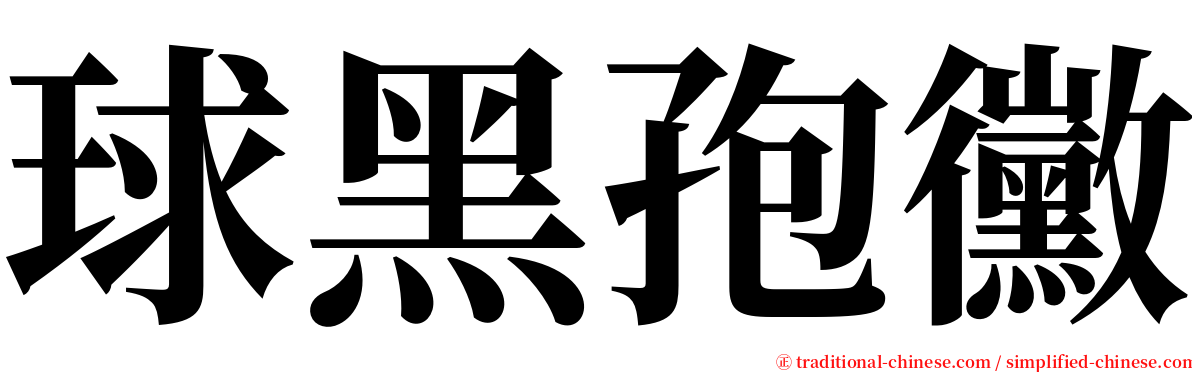 球黑孢黴 serif font