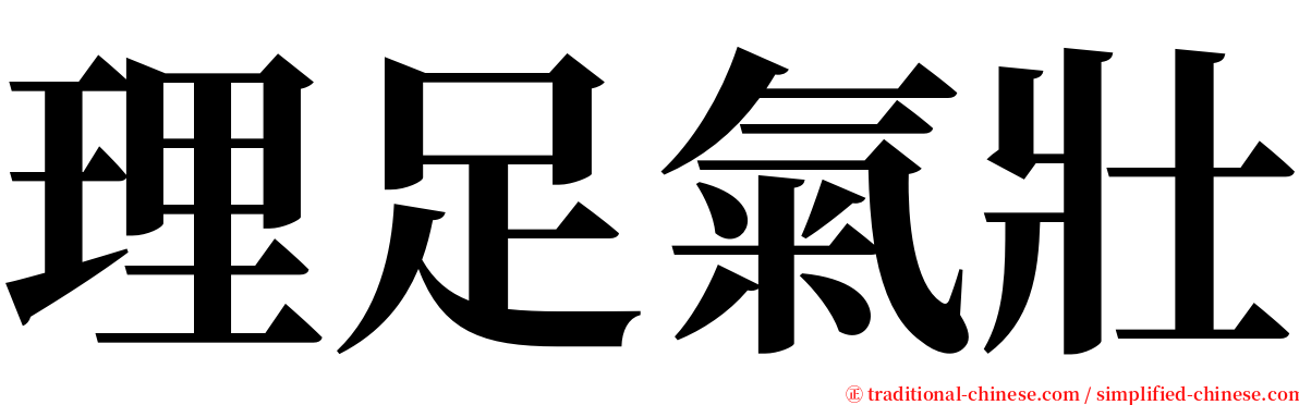 理足氣壯 serif font