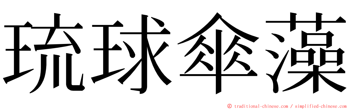 琉球傘藻 ming font