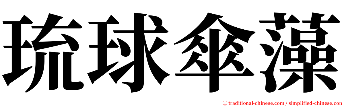 琉球傘藻 serif font