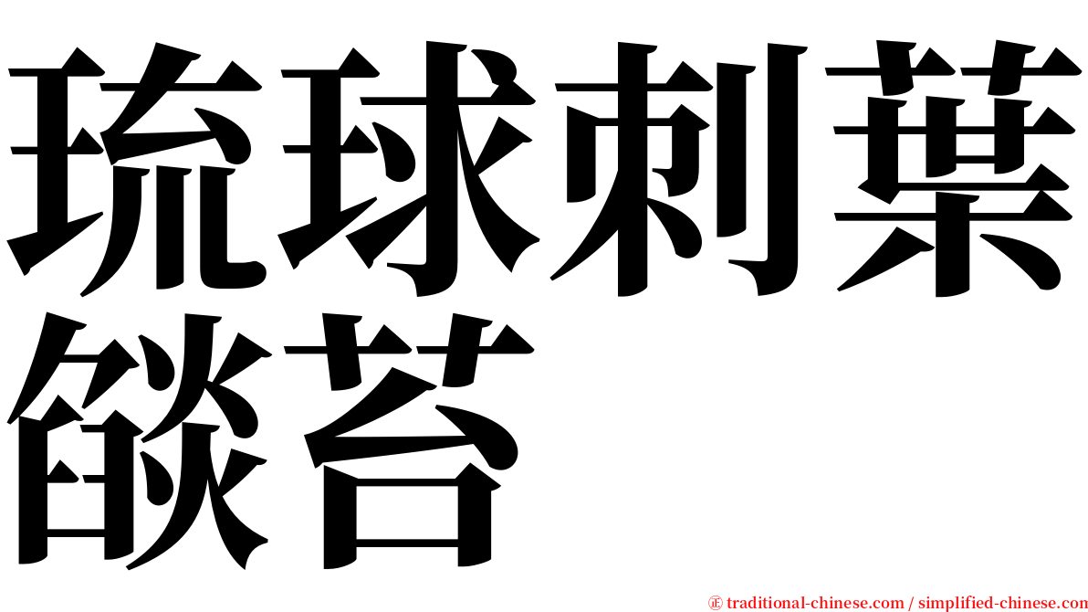 琉球刺葉燄苔 serif font