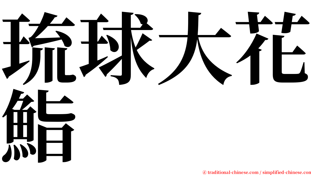 琉球大花鮨 serif font