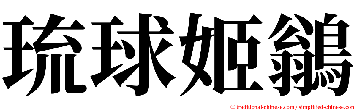 琉球姬鶲 serif font