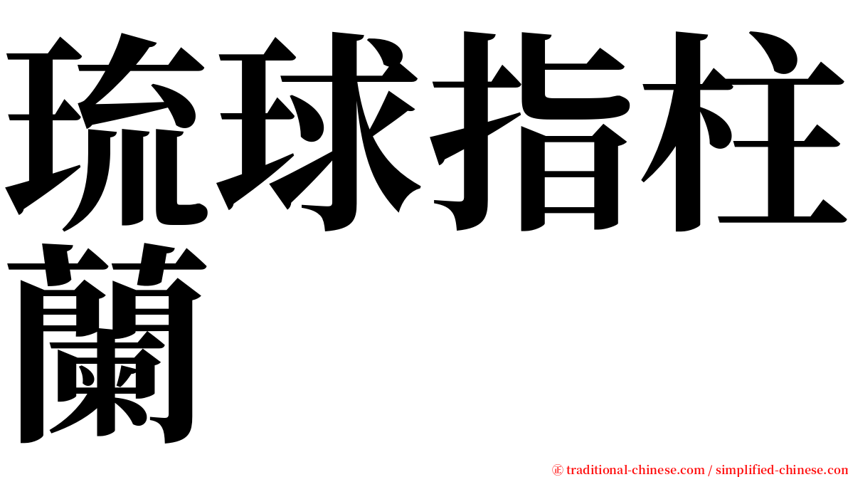 琉球指柱蘭 serif font