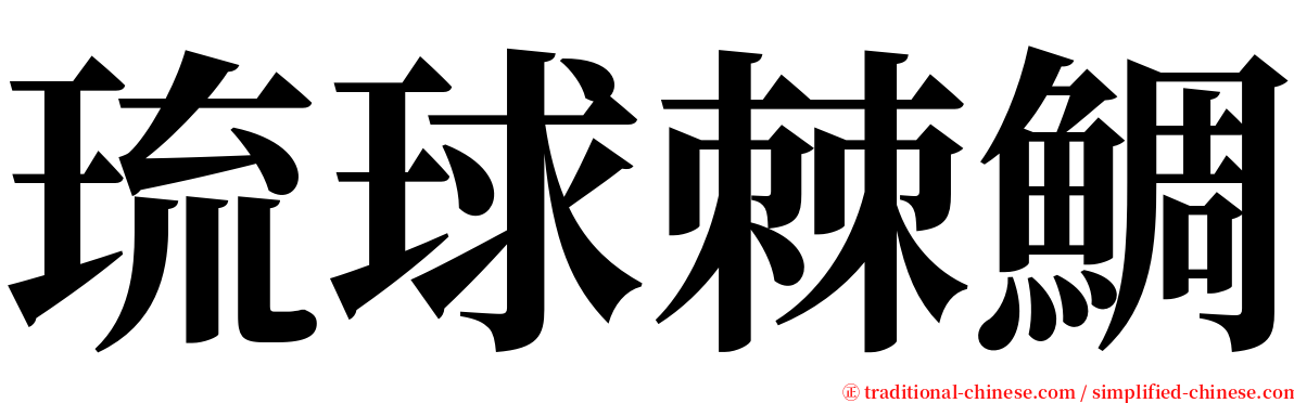 琉球棘鯛 serif font